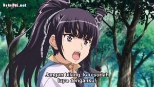 Samurai Hormone The Animation Episode 1 Subtitle Indonesia