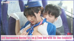 JAV Uncensored Having Sex on a Tour Bus with the Bus Conducto NekoPoi